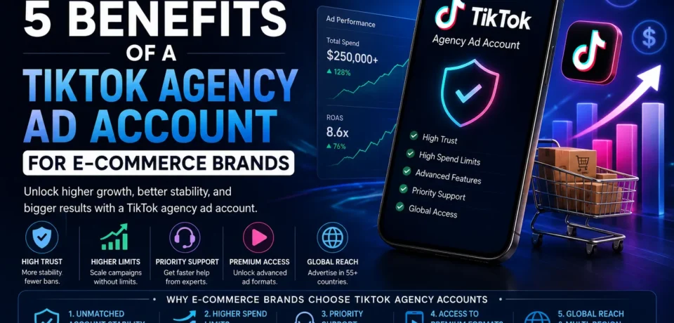 Dev Techno Soft TikTok agency ad account solution helping e-commerce brands scale ads with higher spend limits and premium support.