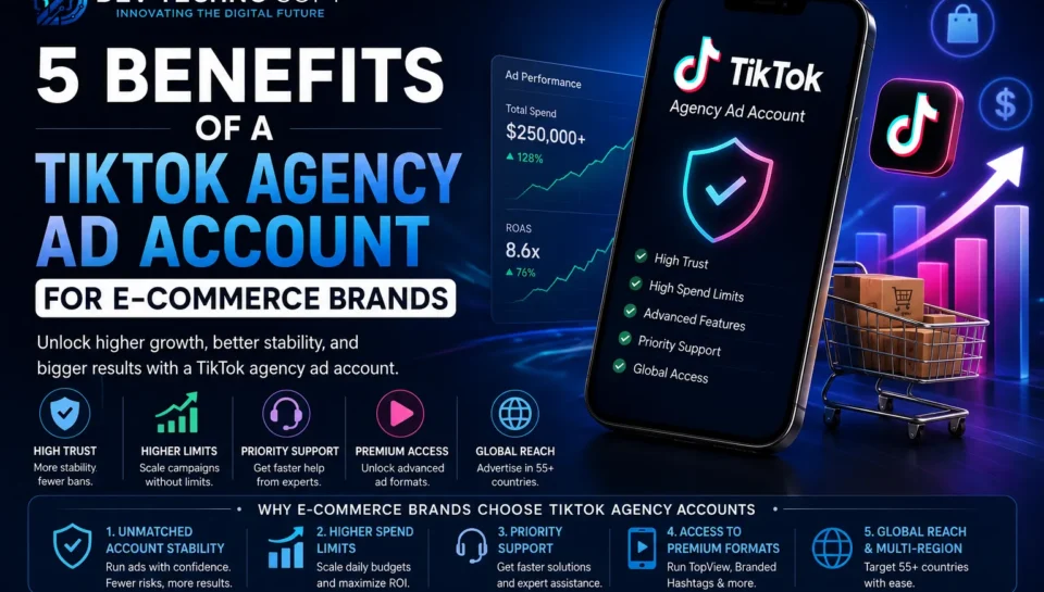 Dev Techno Soft TikTok agency ad account solution helping e-commerce brands scale ads with higher spend limits and premium support.